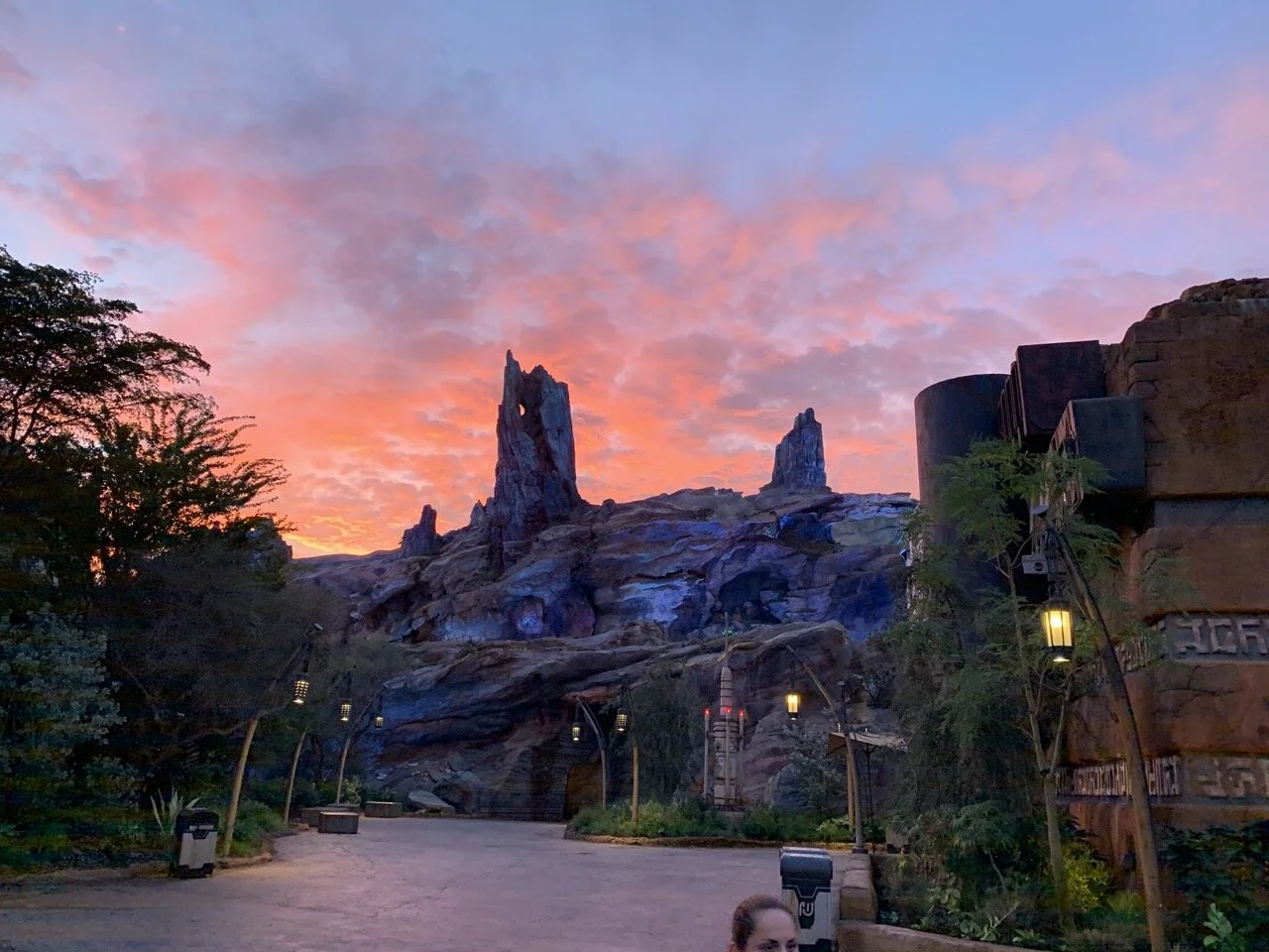 Jan 2020 Disney World Trip Report - Hollywood Studios