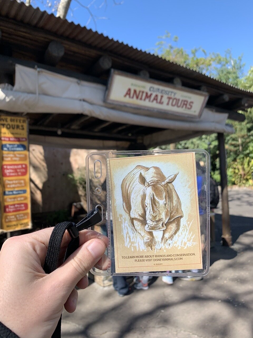 Up Close With Rhinos at Animal Kingdom Review + Info - Mouse Hacking