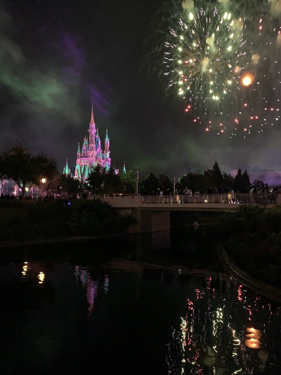 magic kingdom fireworks dessert seated viewing our view 03.jpeg