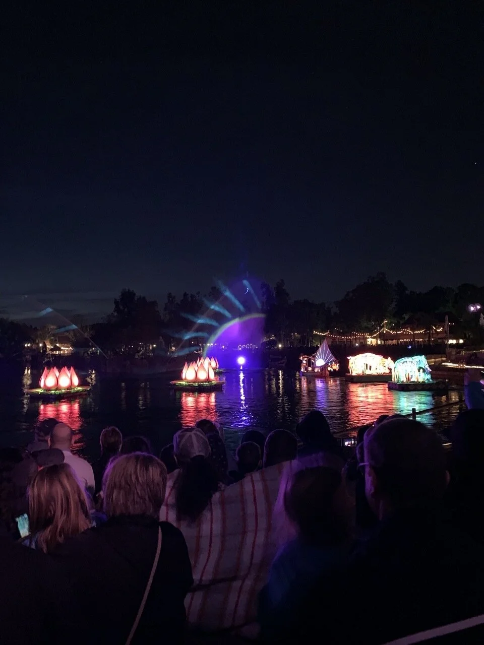 animal kingdom rivers of light dining package viewing 03.jpeg