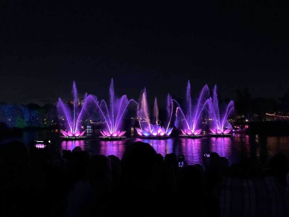 Animal Kingdom Rivers of Light Dining Package Review + Info - Mouse Hacking Animal Kingdom Rivers of Light Dining Package Review + Info - Mouse Hacking