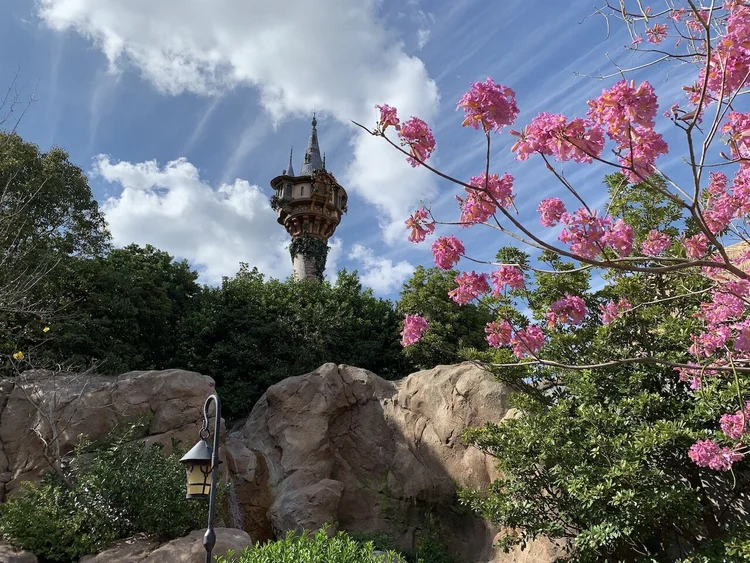 Disney World In February (2027)