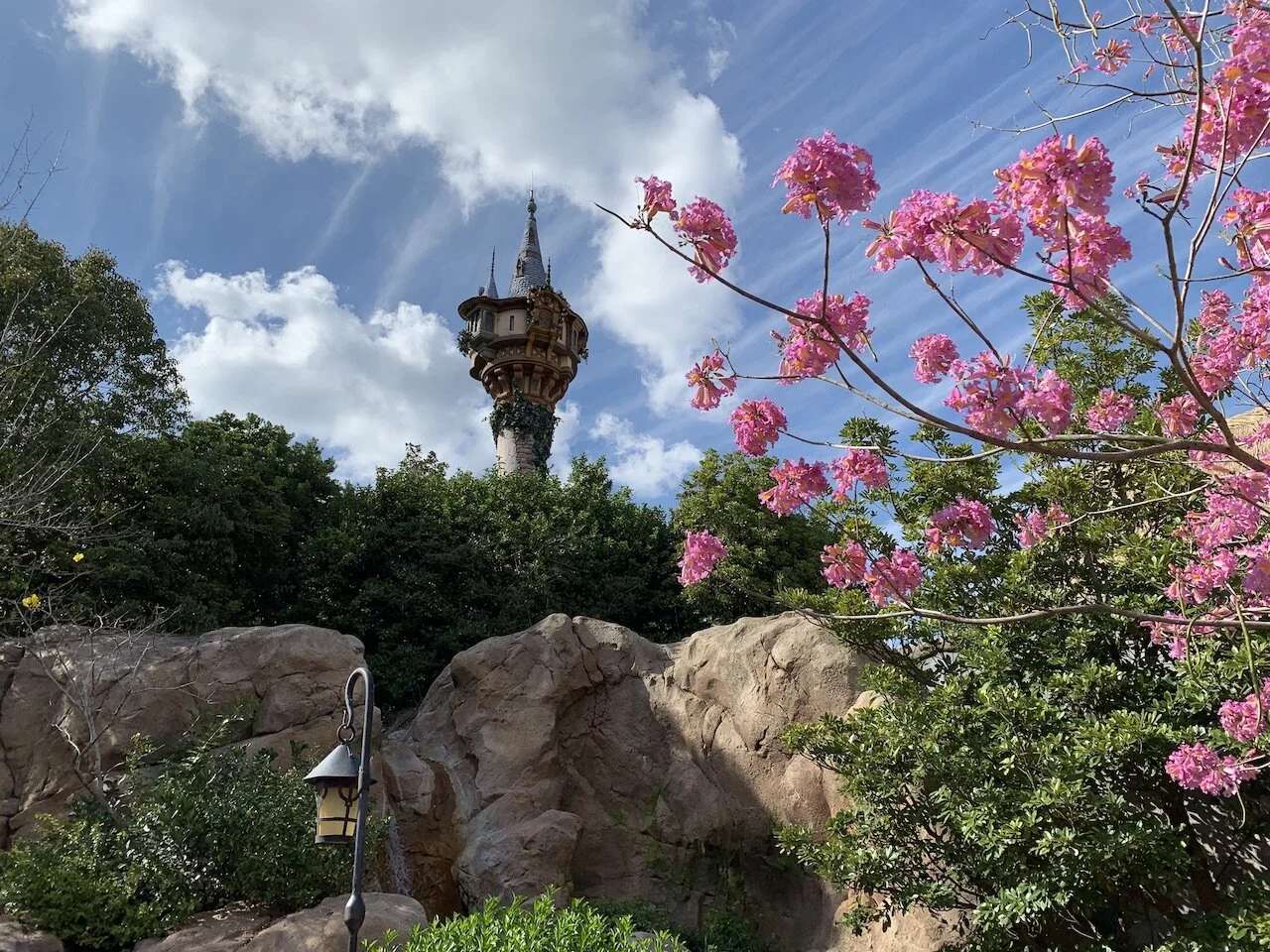 Disney World In February (2026)