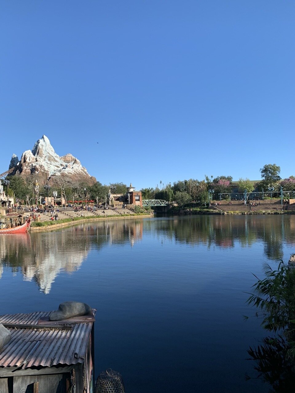 Animal Kingdom Genie+ & Lightning Lanes