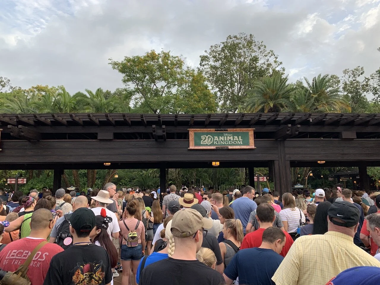 Animal Kingdom Rope Drop and Early Entry Strategy 2025
