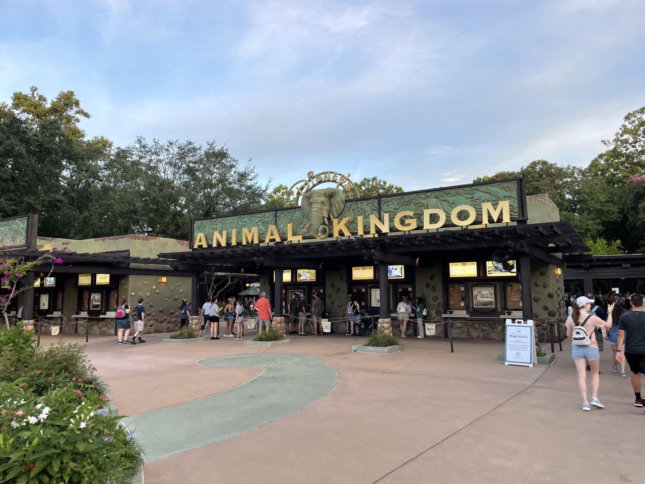 Animal Kingdom One Day Itinerary [2023] - Mouse Hacking