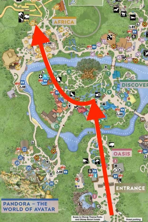 Guide to Kilimanjaro Safaris at Animal Kingdom - Mouse Hacking Guide to Kilimanjaro Safaris at Animal Kingdom - Mouse Hacking
