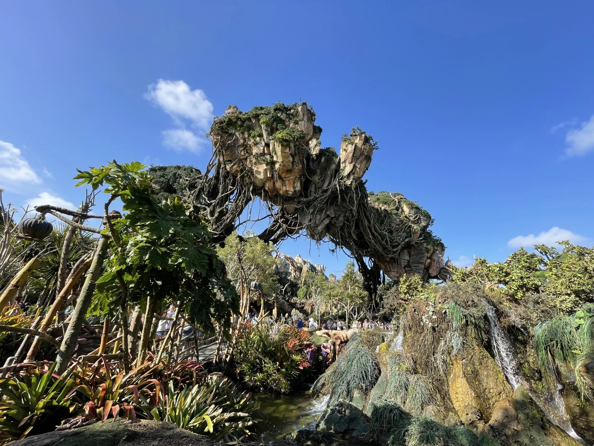 Complete Guide to Disney Animal Kingdom Rides (2024)