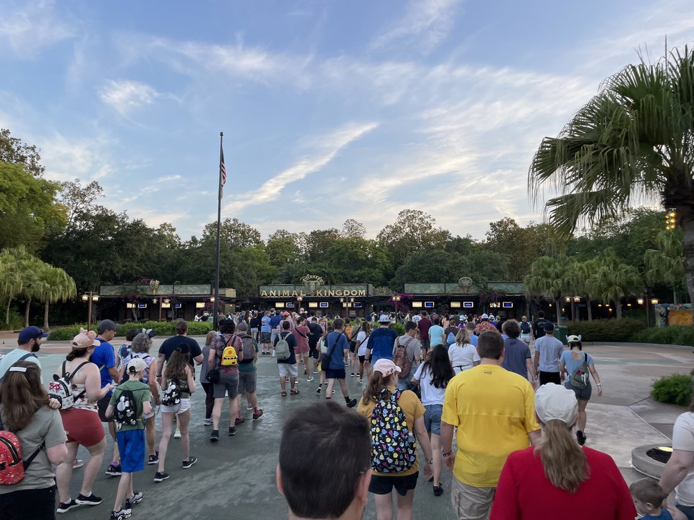 Animal Kingdom Rope Drop and Early Entry Strategy 2023 - Mouse Hacking