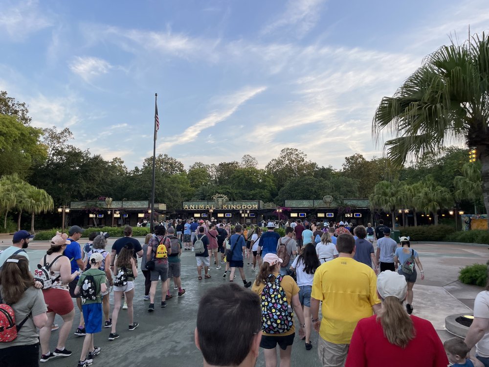 Animal Kingdom Rope Drop and Early Entry Strategy 2023 - Mouse Hacking Animal Kingdom Rope Drop and Early Entry Strategy 2023 - Mouse Hacking