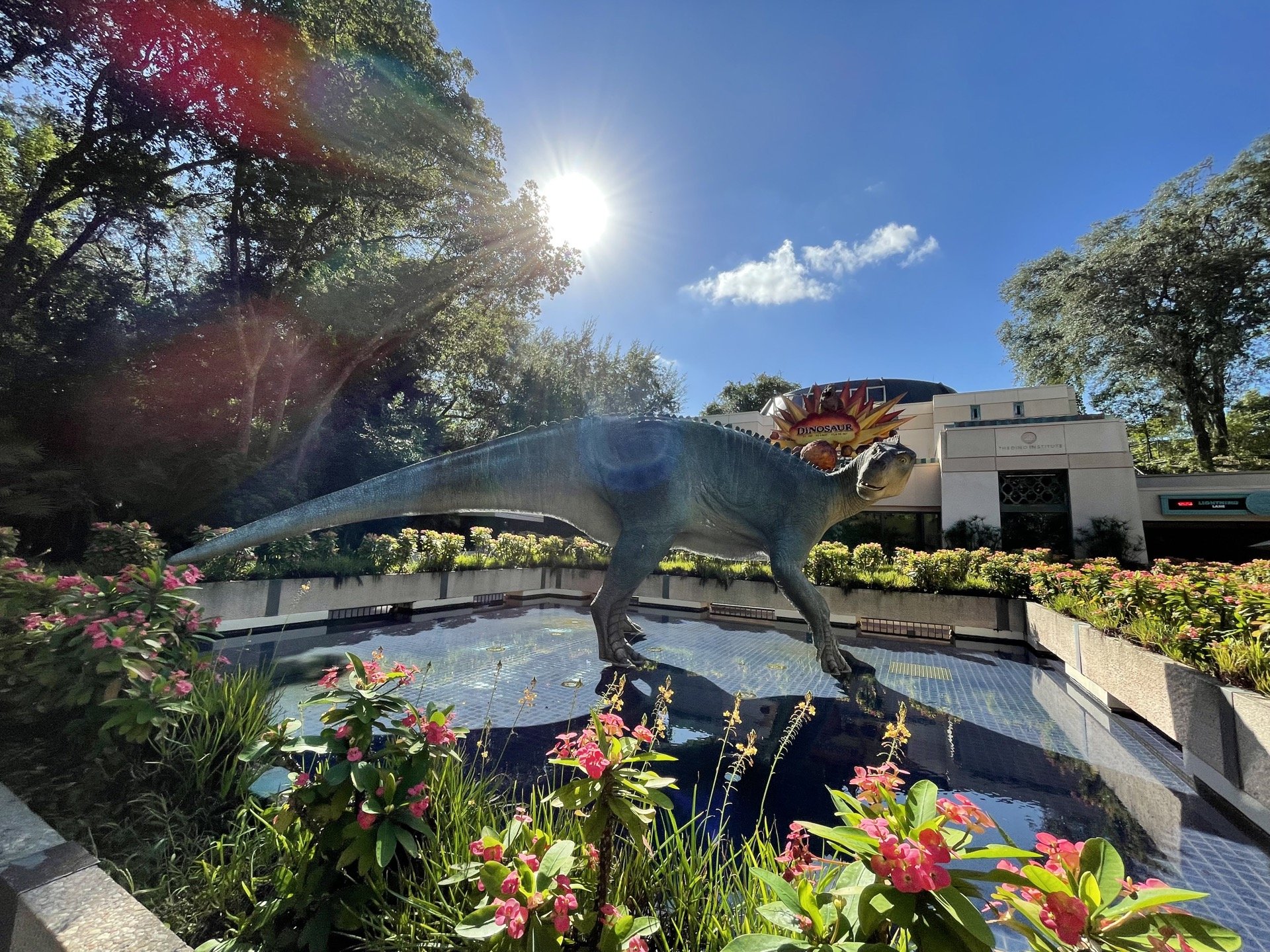 Guide to DINOSAUR at Disney's Animal Kingdom