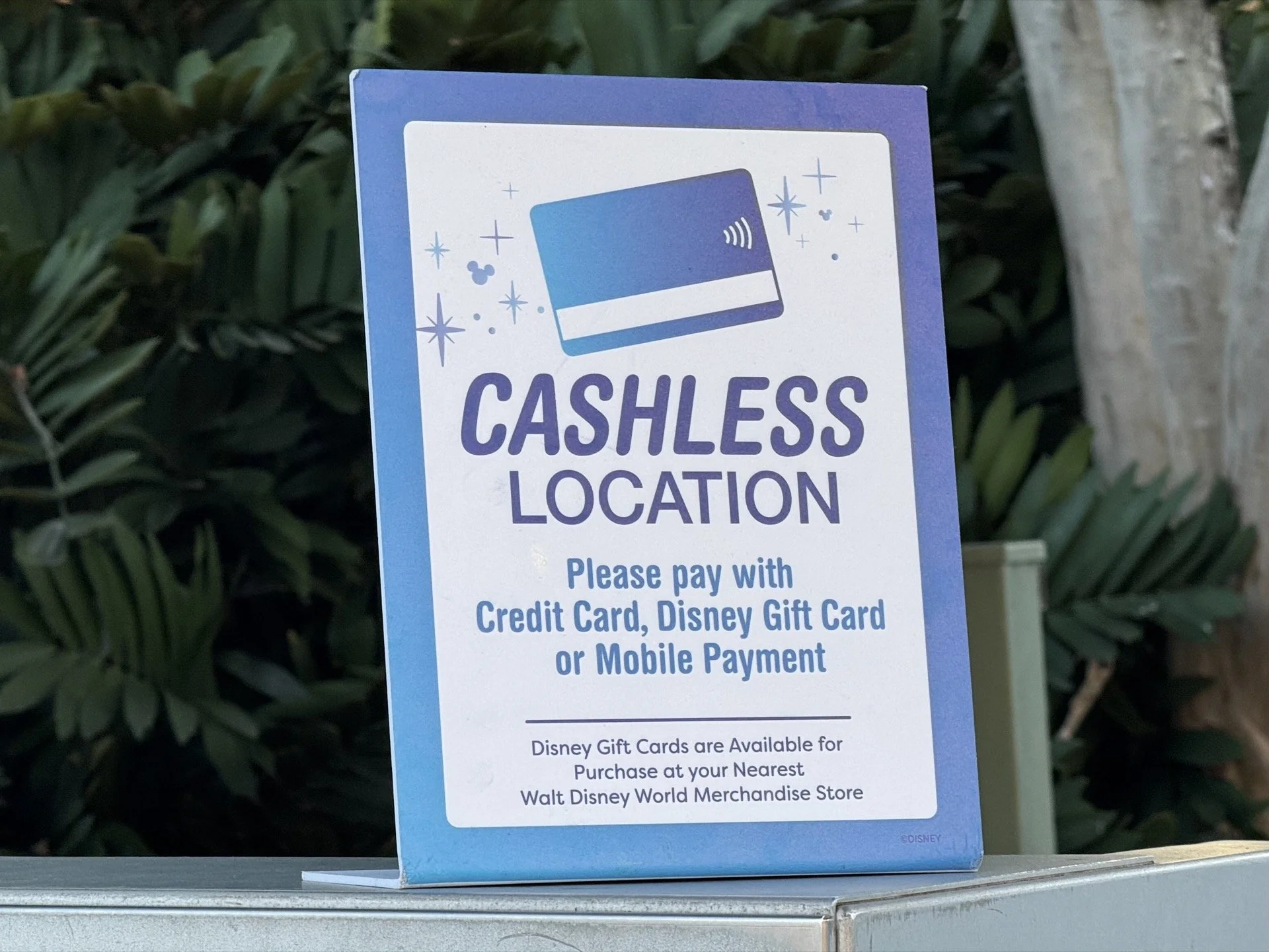Disney World Is Increasingly Going Cashless