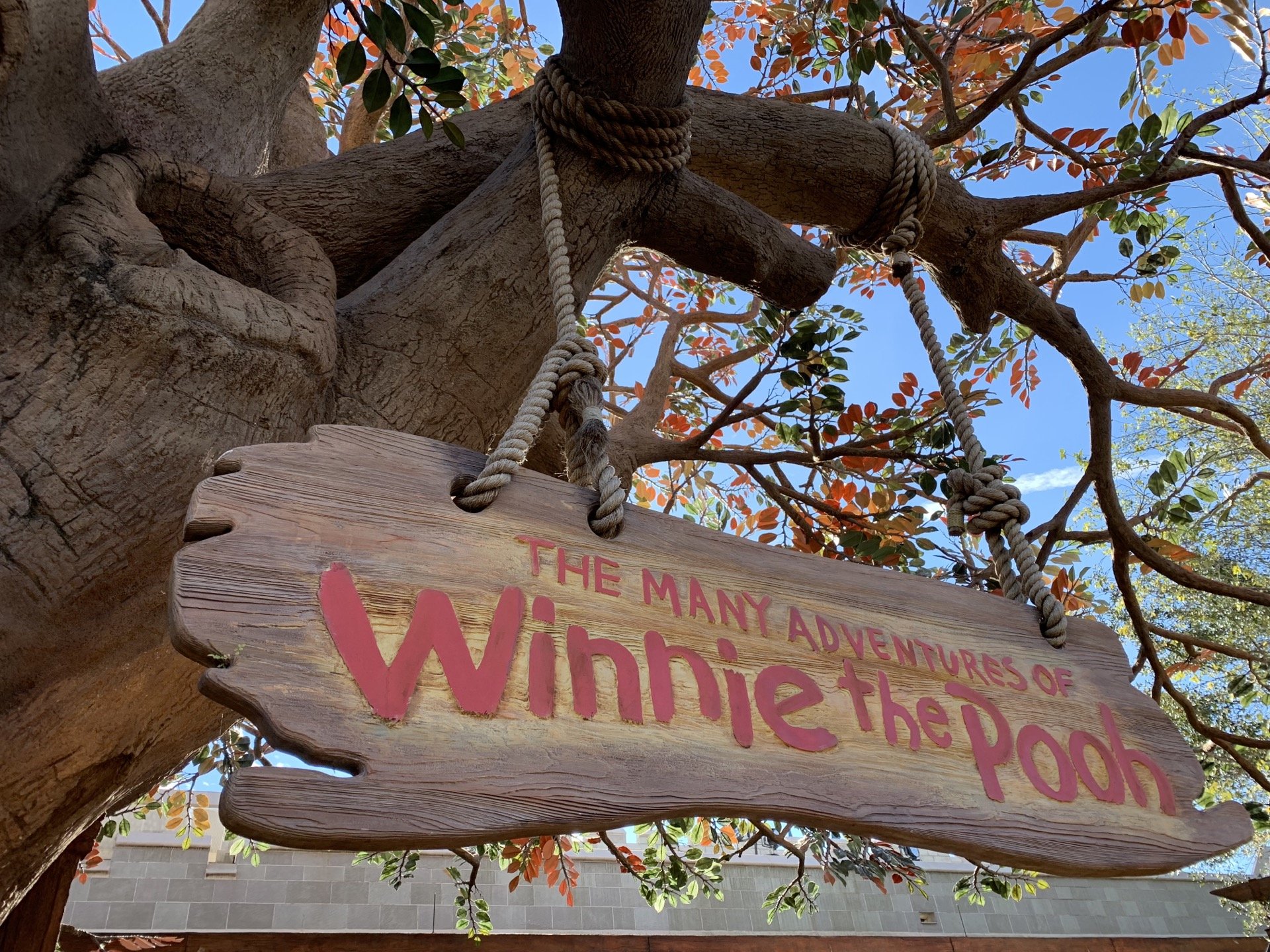 the many adventures of winnie the pooh ride disneyland