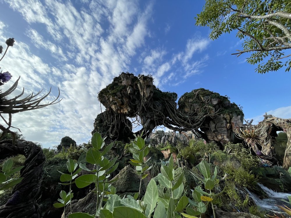 Guide to Avatar Flight of Passage at Animal Kingdom - Mouse Hacking