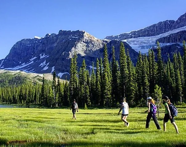 Hiking & Sightseeing - At the heart of the Canadian Rockies, Bow Lake and Num-Ti-Jah Lodge are central to some of the most spectacular and renowned hiking & sightseeing on Earth, with endless opportunity right from our doorstep. 