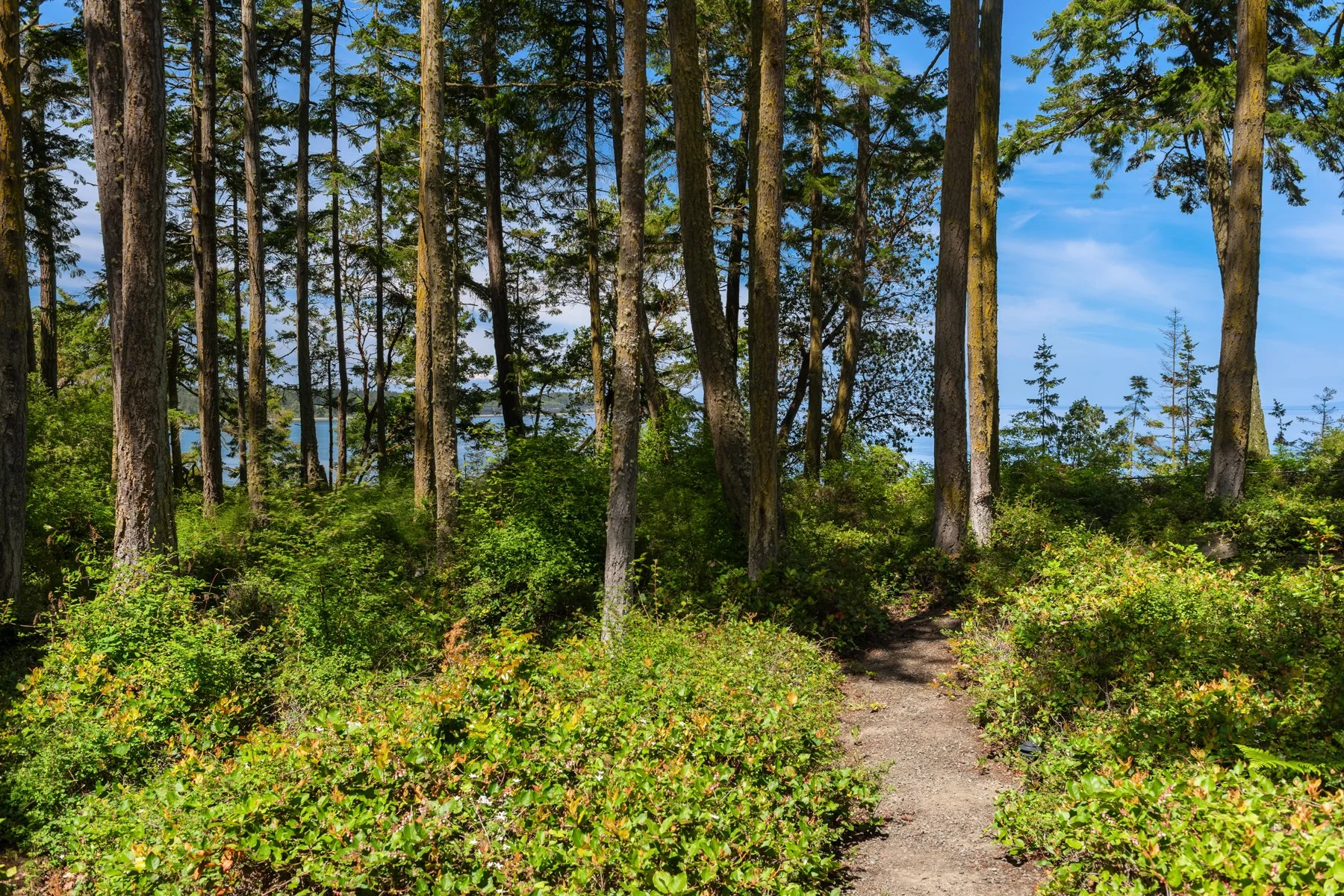 4065 E Sequim Bay Road 12, Sequim WA 98382 (67).jpg