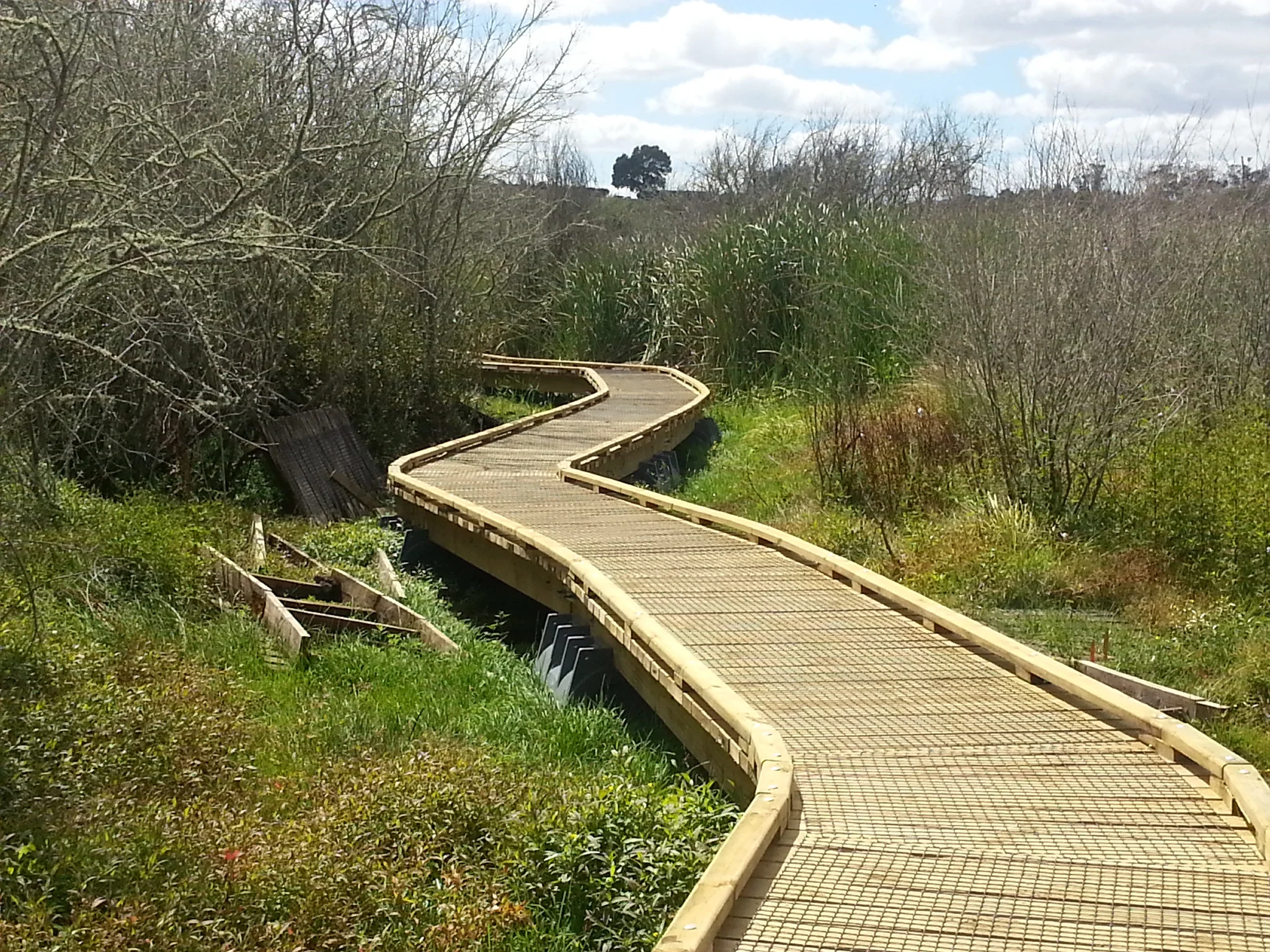 Pontoonz boat pods supporting a walkway through sensitive wetland area.