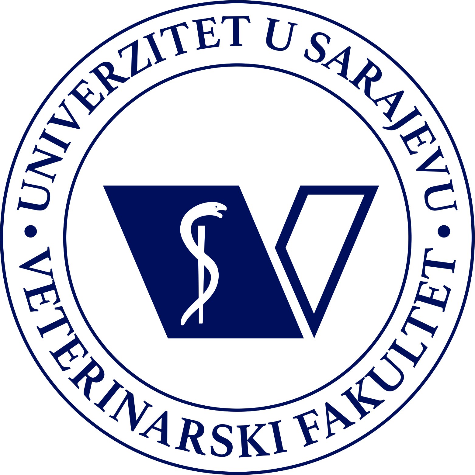 Logo VFS 2022.jpg