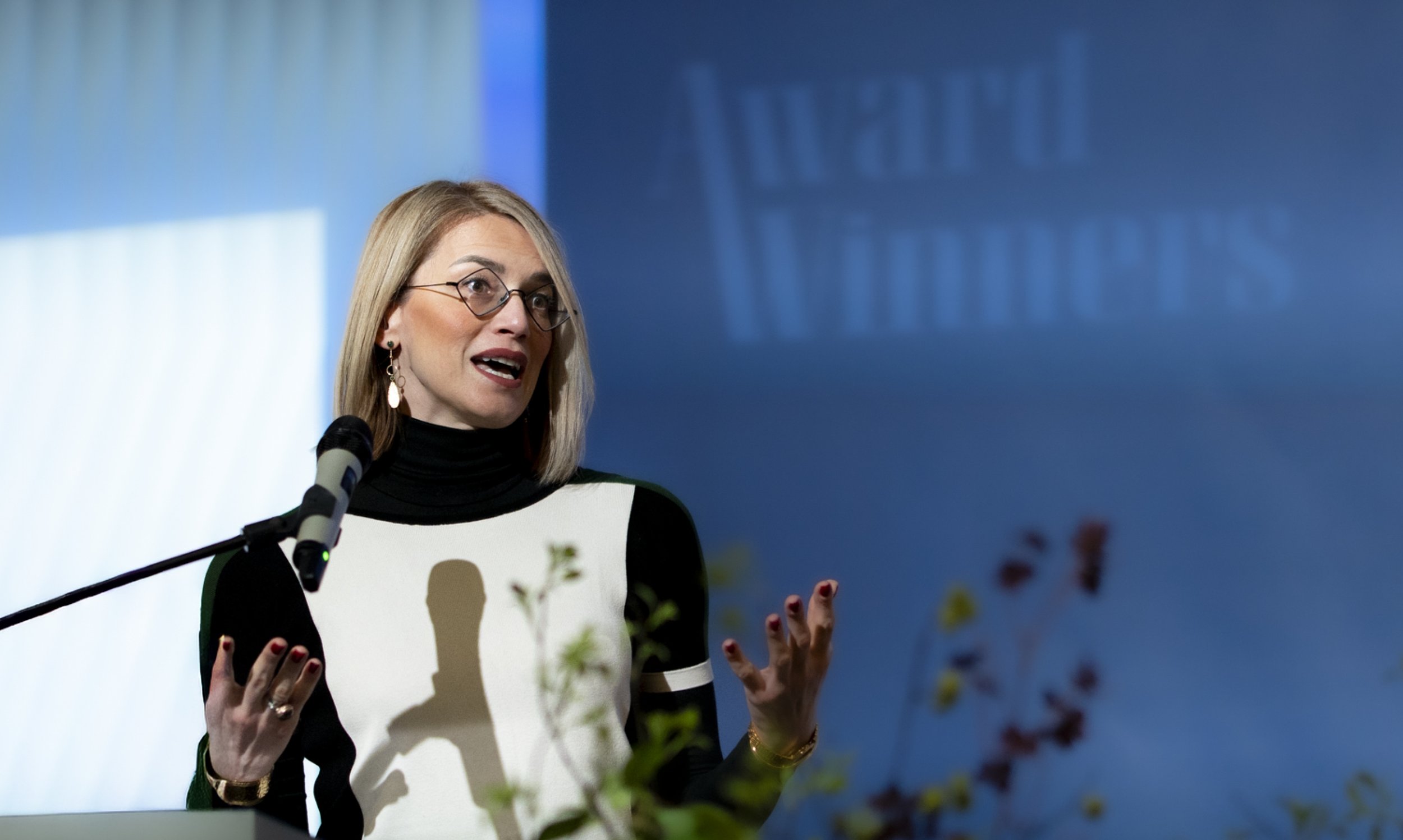 Selma Kadić‑Maglajlić dobitnica istraživačke nagrade na Copenhagen Business School