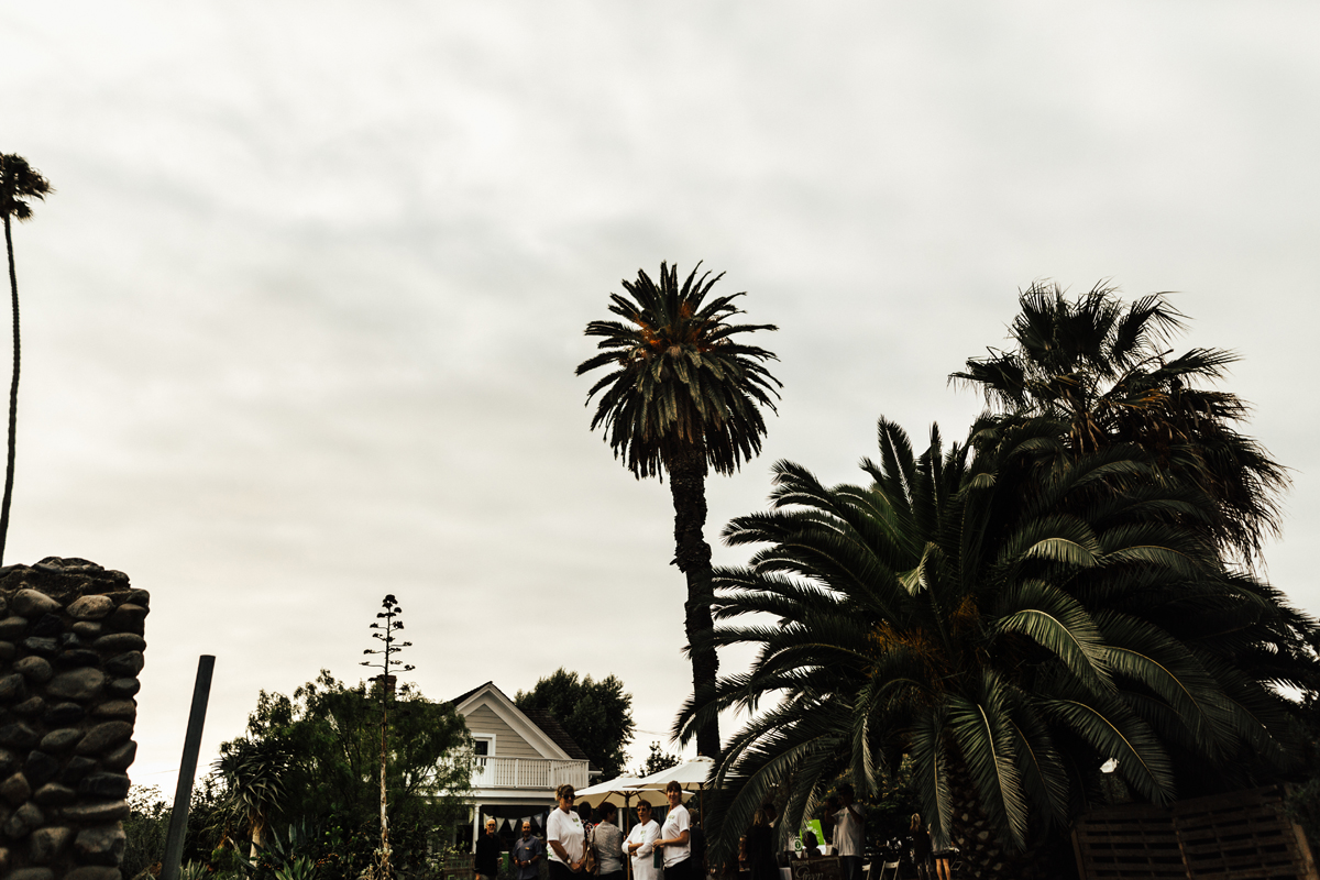 GreenFeast-73.jpg