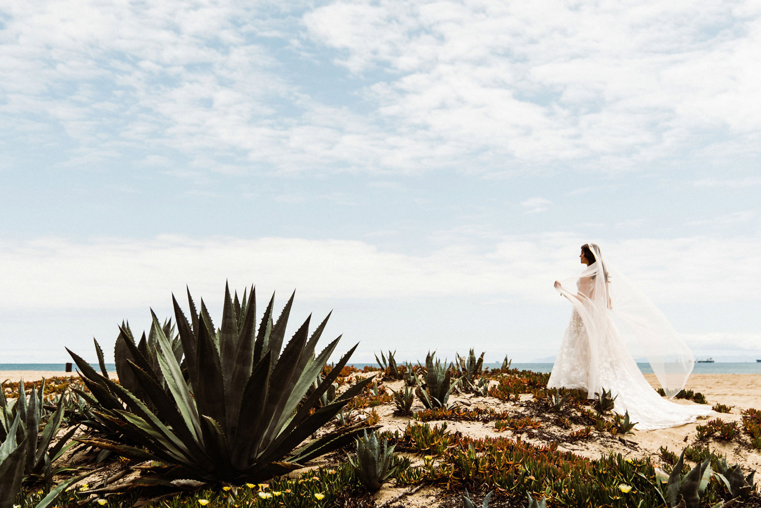 LisaAndHenryWedding-1290125.jpg