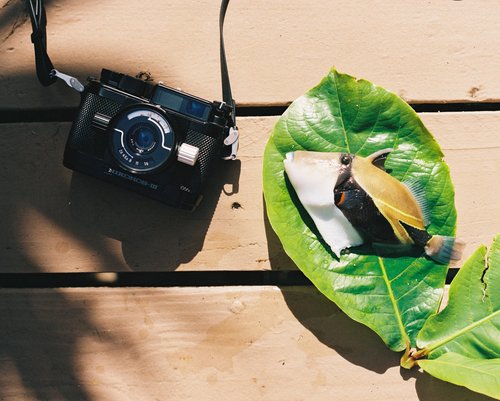 This Is How You Shoot Kodak Portra 400 - Parallax Photographic Coop