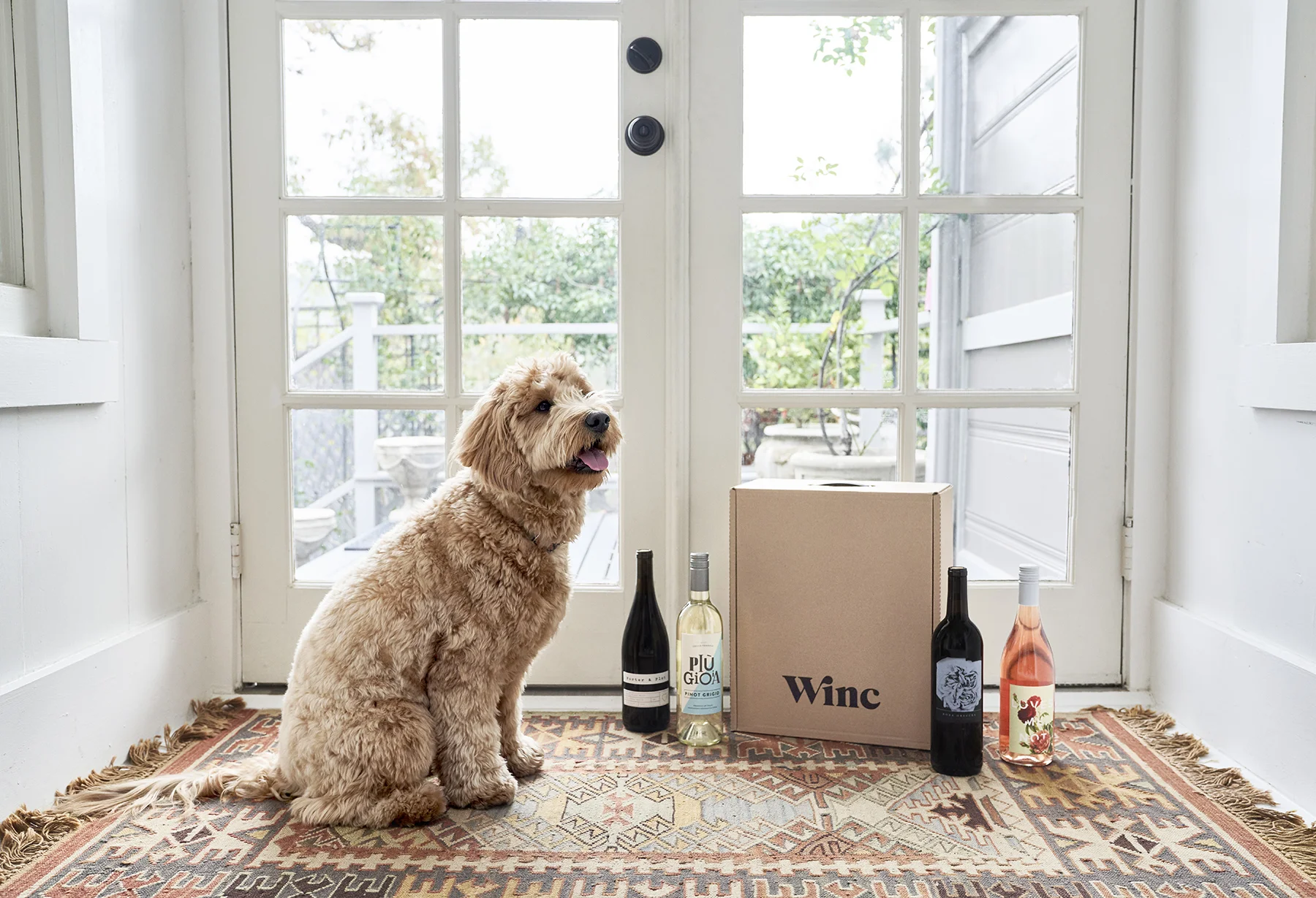 WINE+DOG_099_sm.jpg