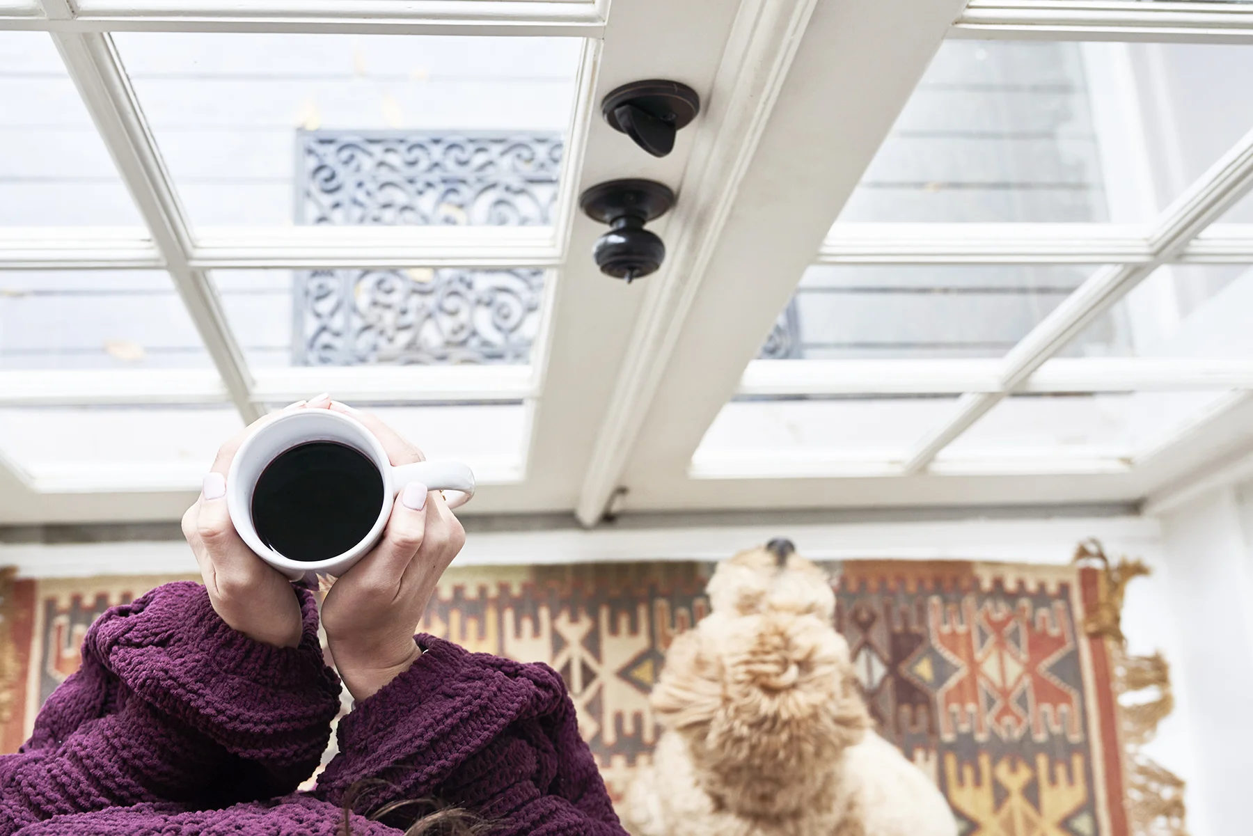 WINE+DOG_200_sm.jpg