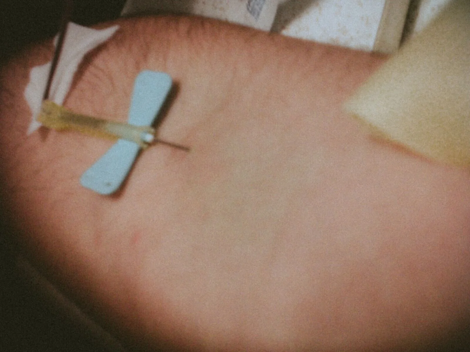 BBERRYivneedle.jpeg