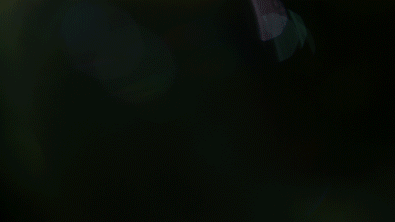 flare.gif