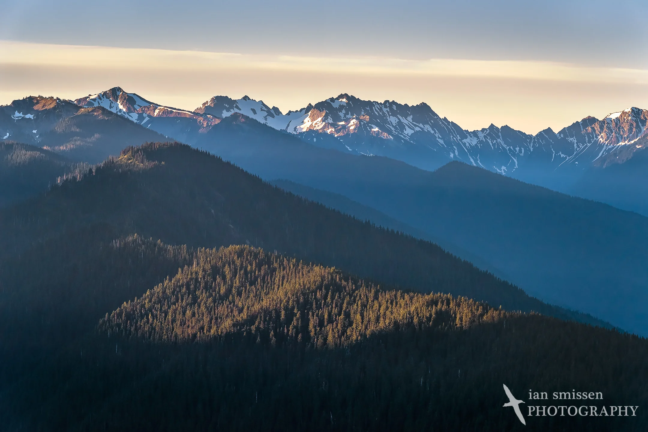 First sunlight on the mountains, Hurricane Ridge