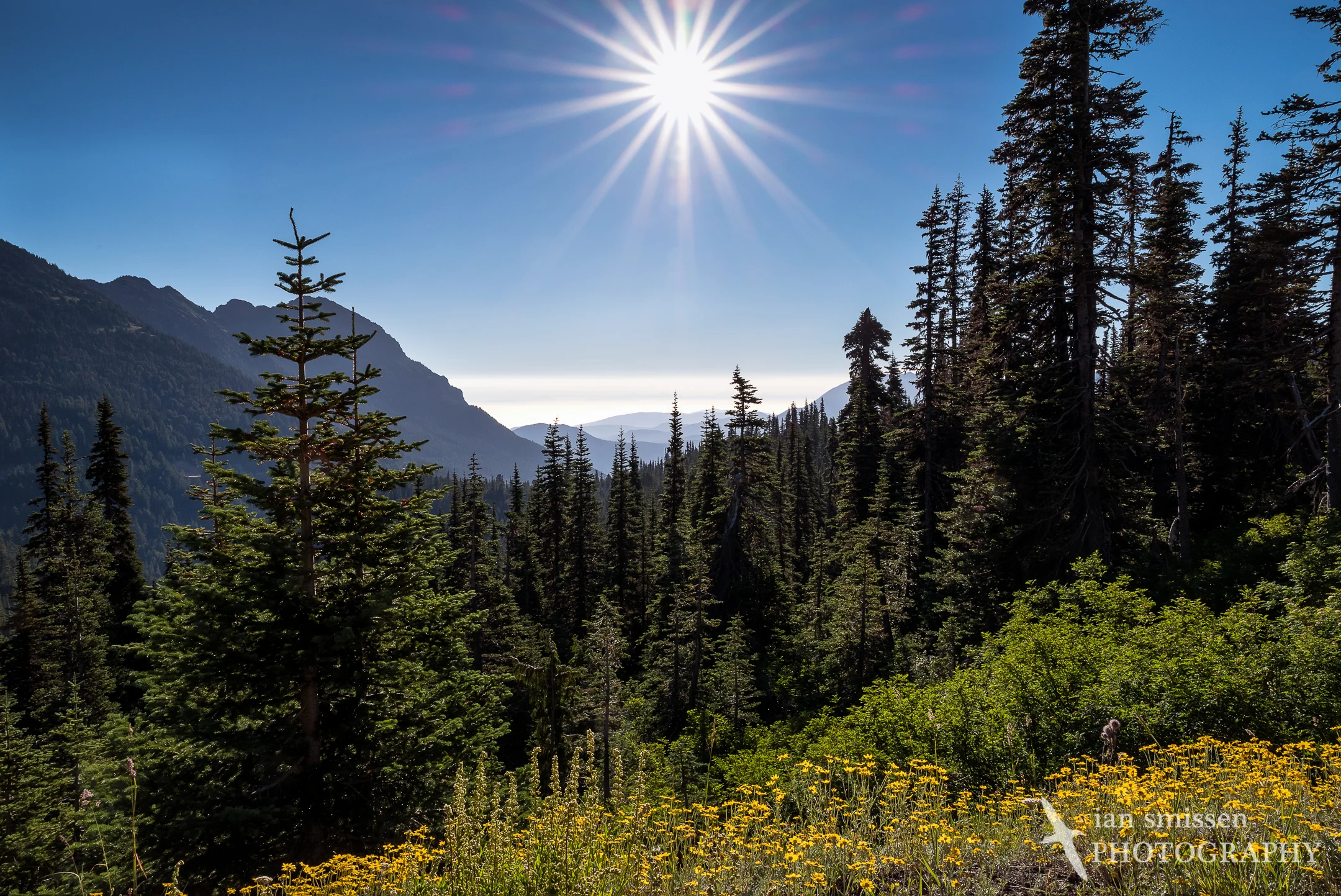 Into the sun, Hurricane Ridge