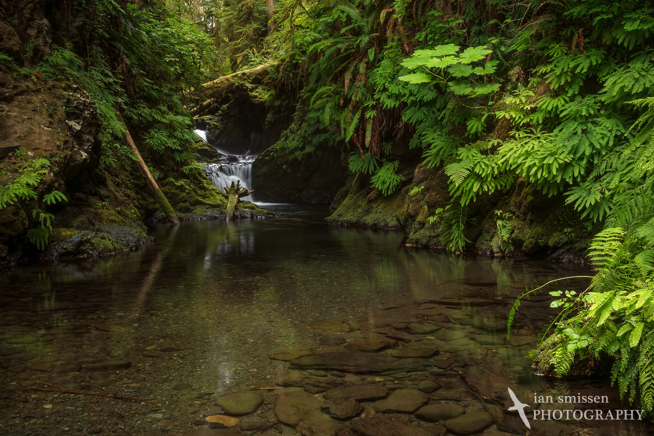 Willaby Creek Falls
