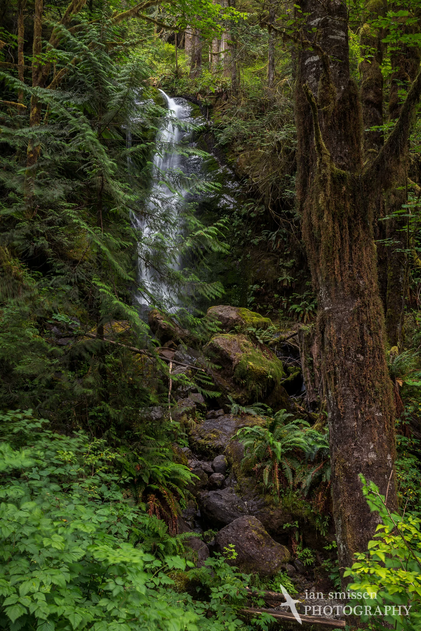 Merriman Falls