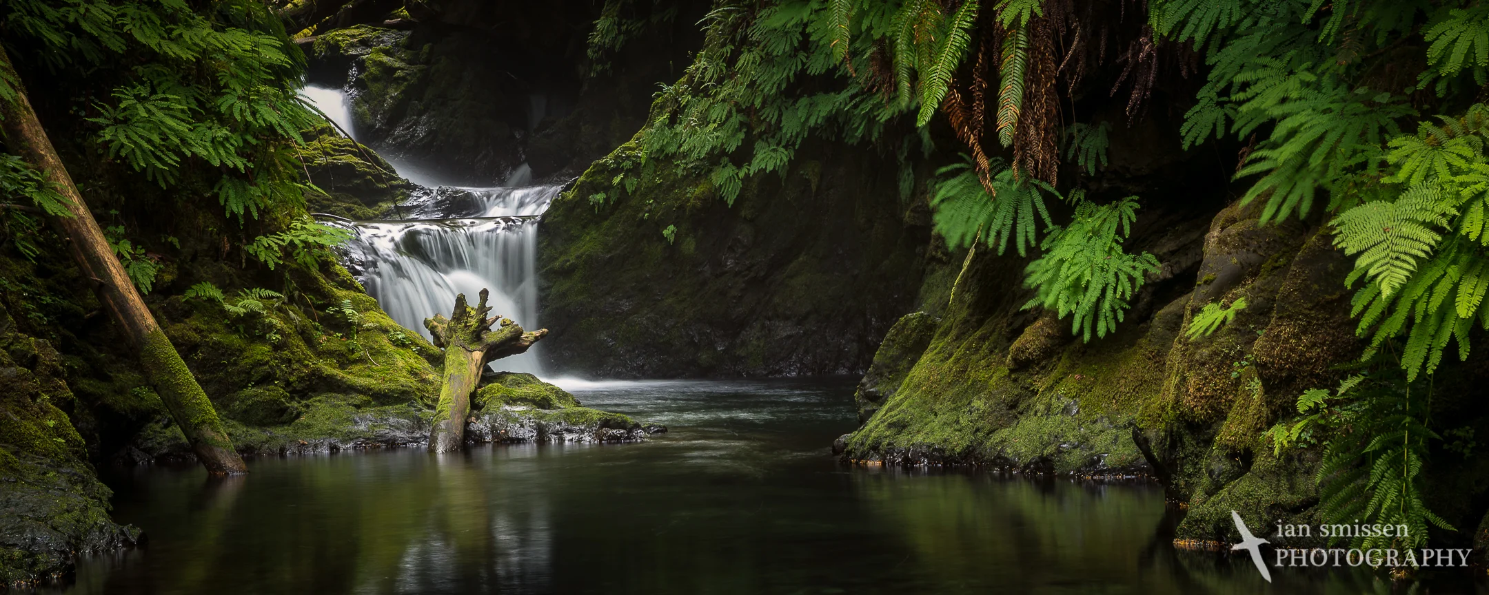 Willaby Creek Falls