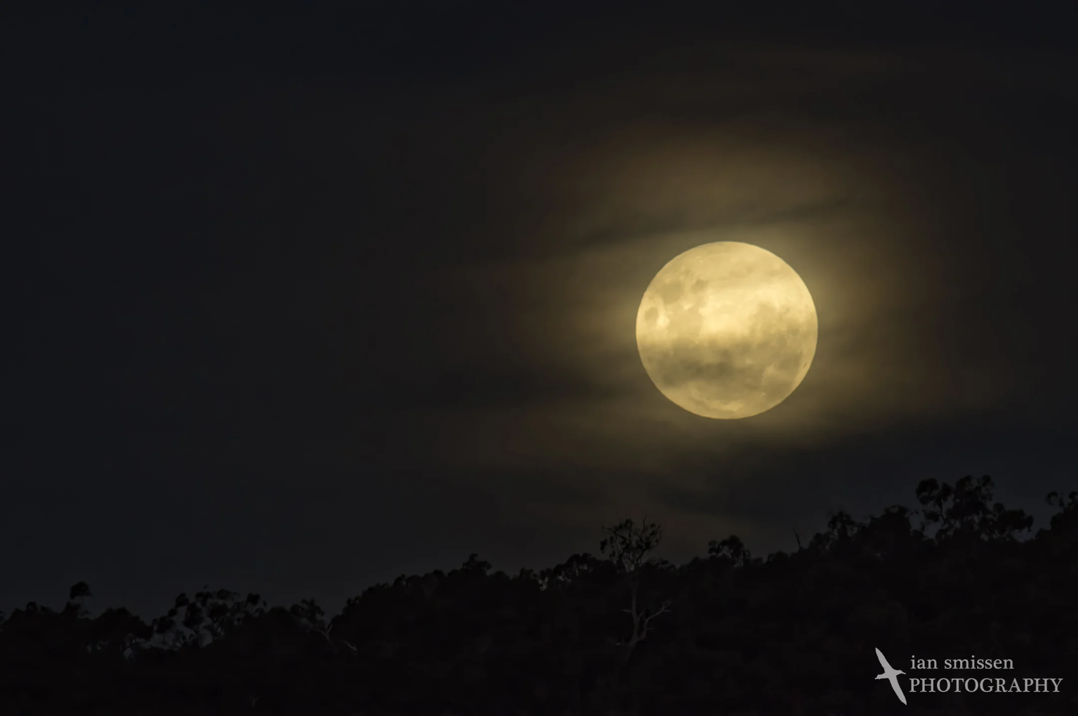 Full moon rising in cloud
