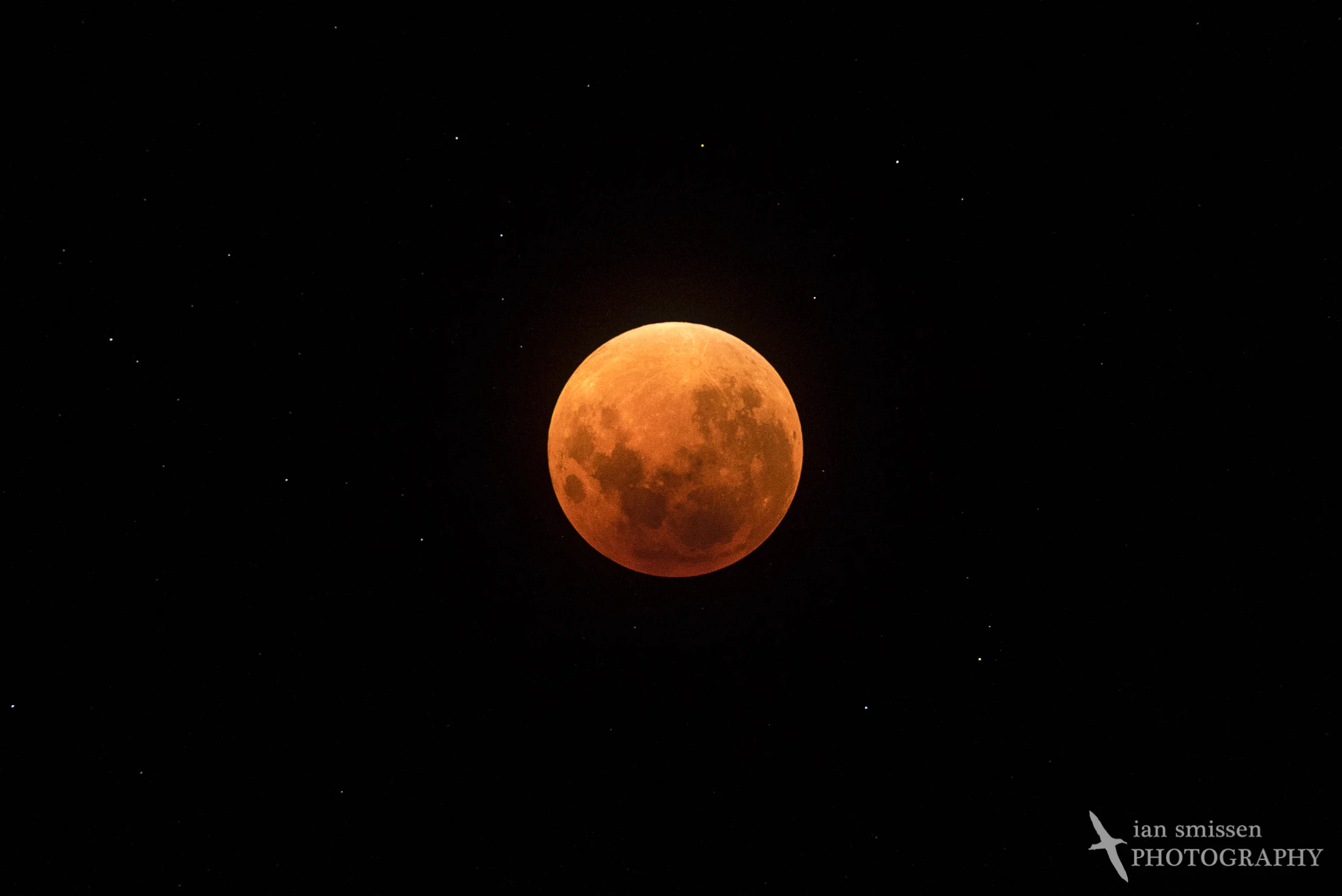 Super Blood Moon (full eclipse)