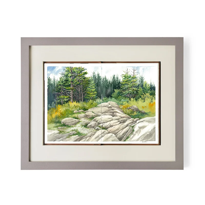 Transparent watercolor by Steve Mitchell