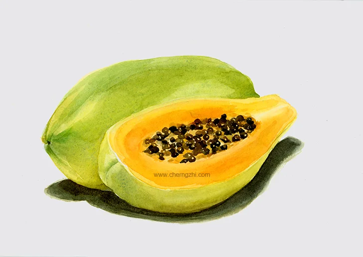 papayaWeb.jpg