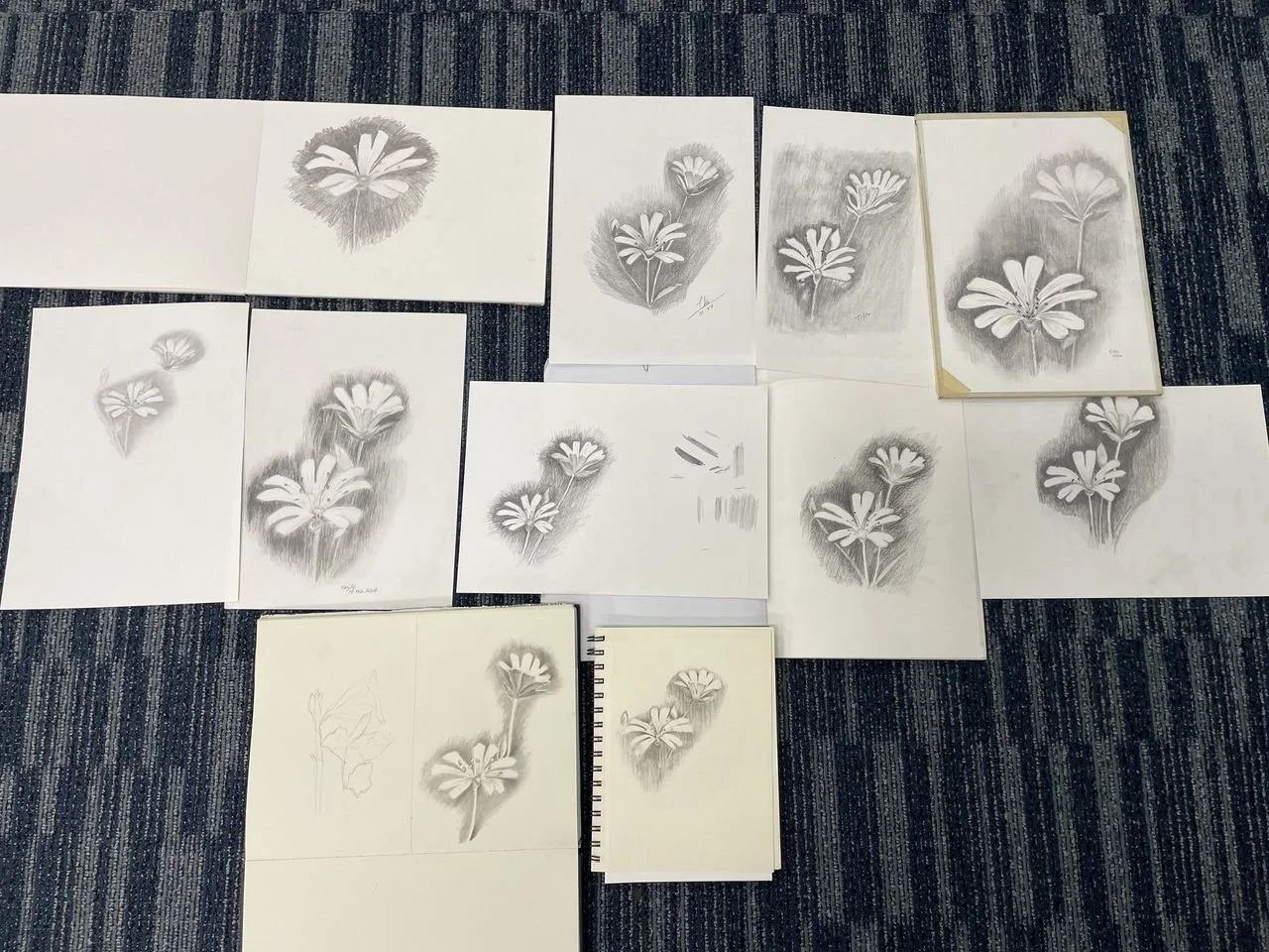 430895822_2610744669100620_5997857410337791598_n.jpg