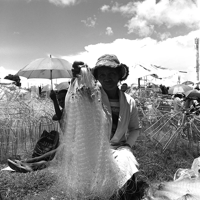 Fish Nets 3smallll.jpg