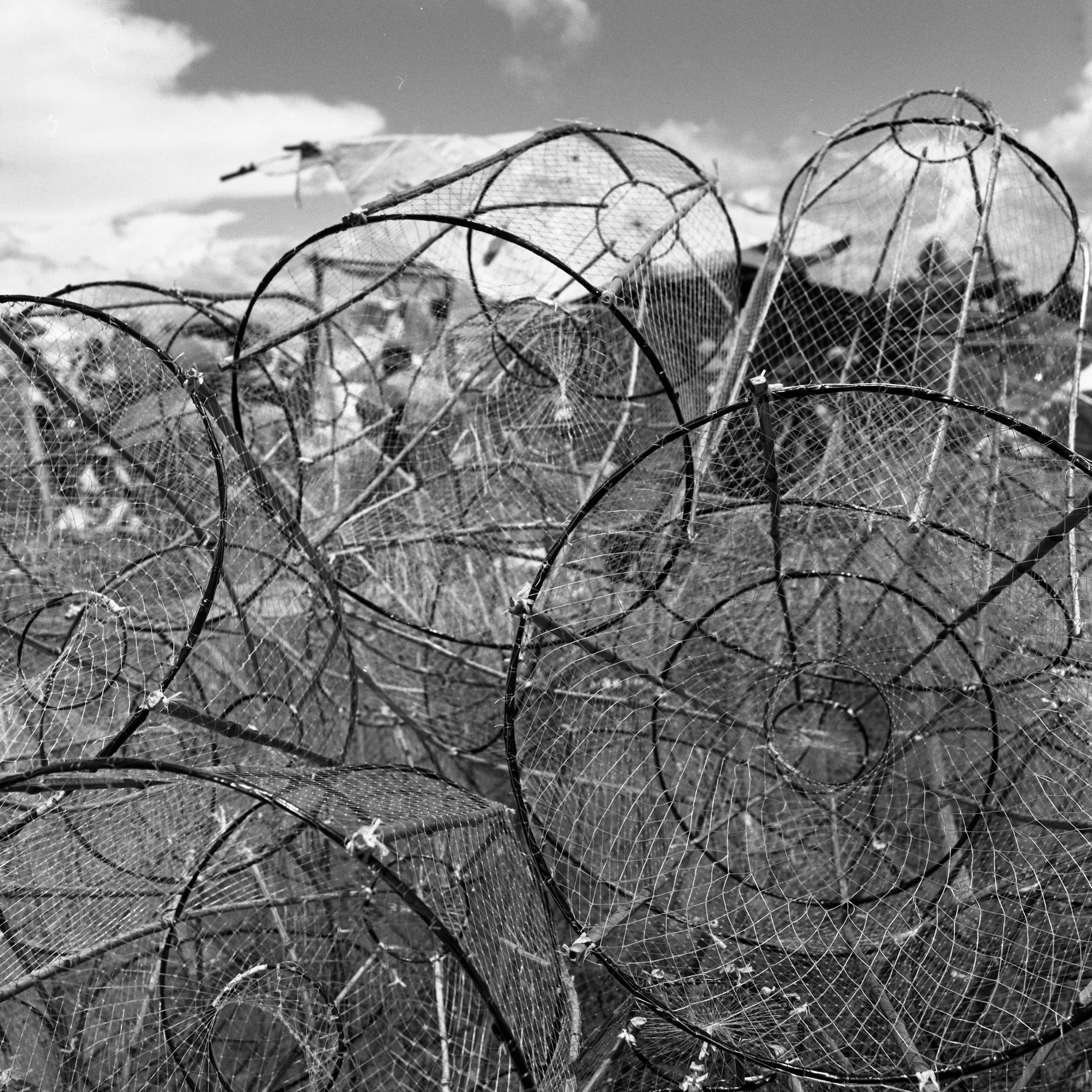 Fish Nets.jpg