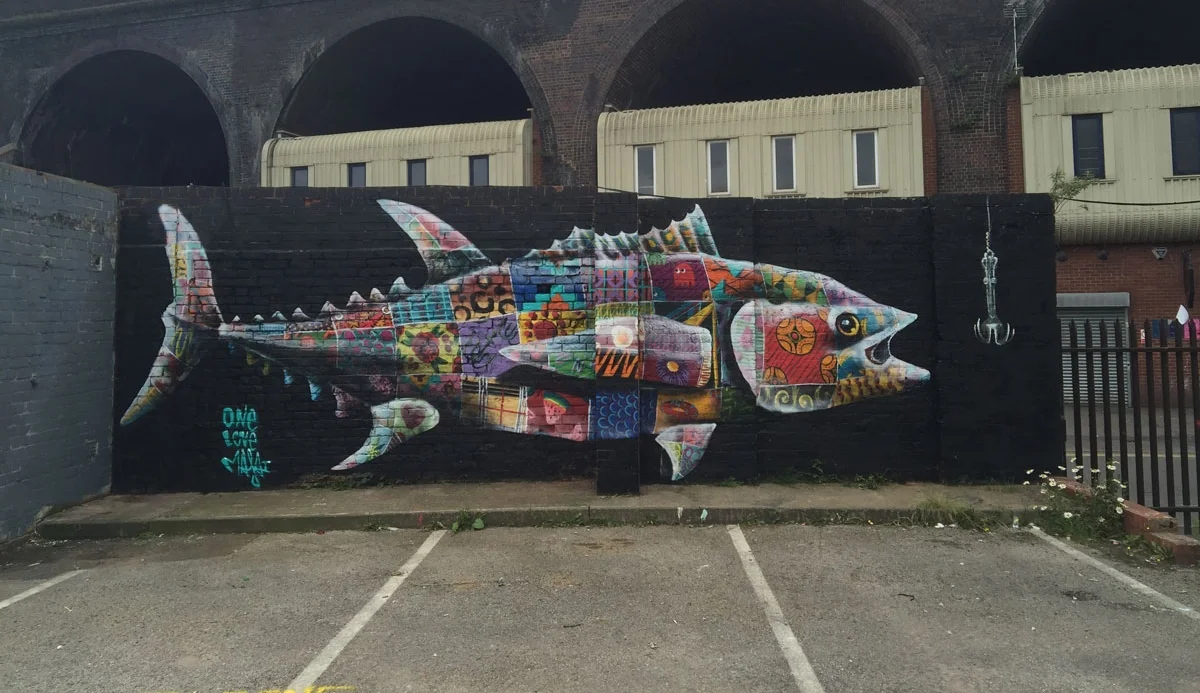 Louis Masai - Blue fin tuna Birmingham 2016