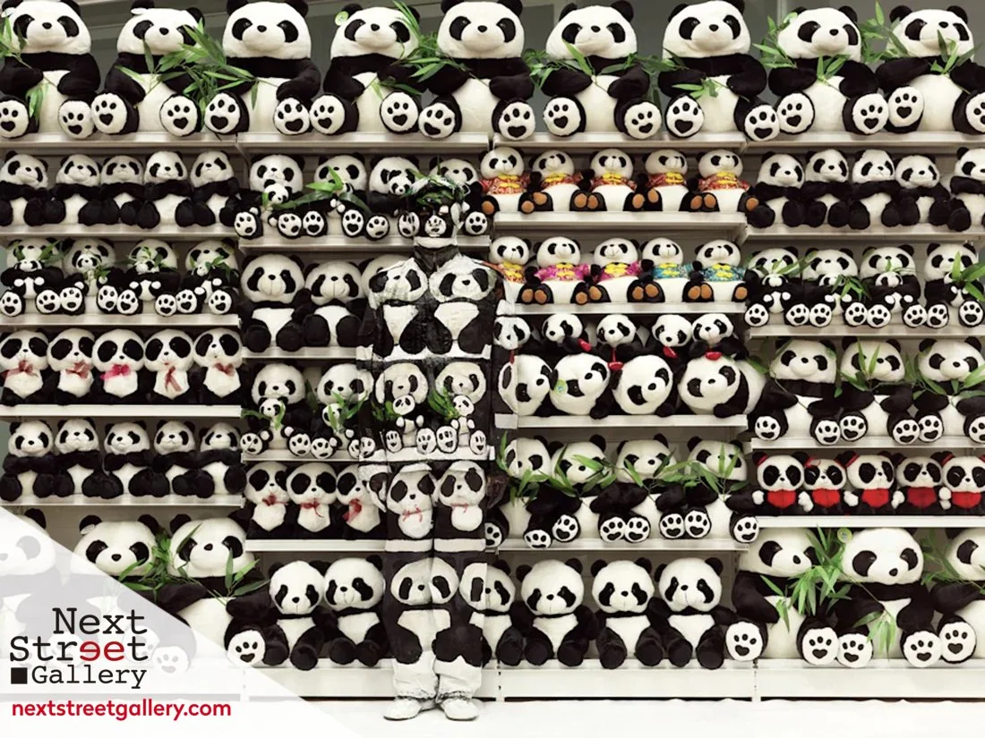 LIU BOLIN | HIDING IN THE CITY - PANDA