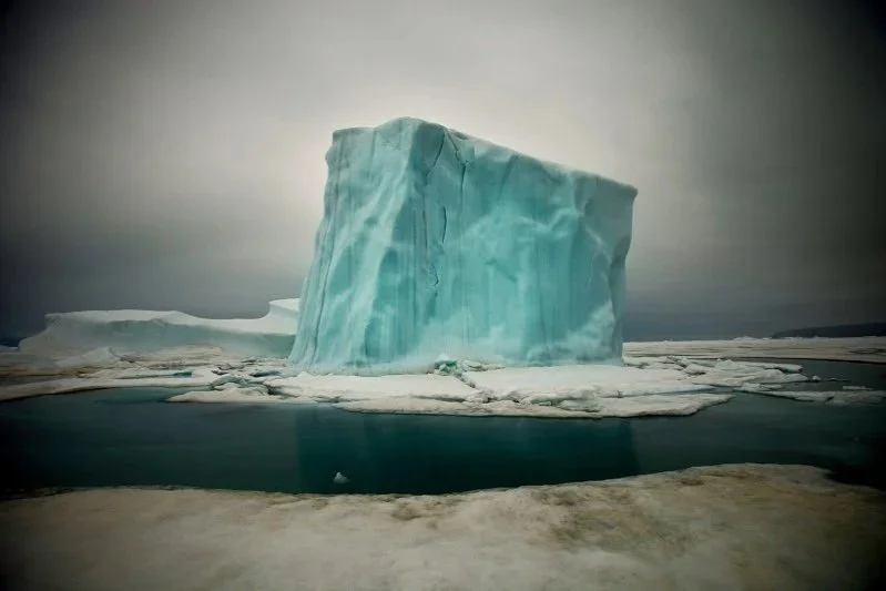 Artwork by Sebastian Copeland featured in De Pôle en Pôle : Un Monde qui disparaît at NextStreet Gallery, Paris, 2018