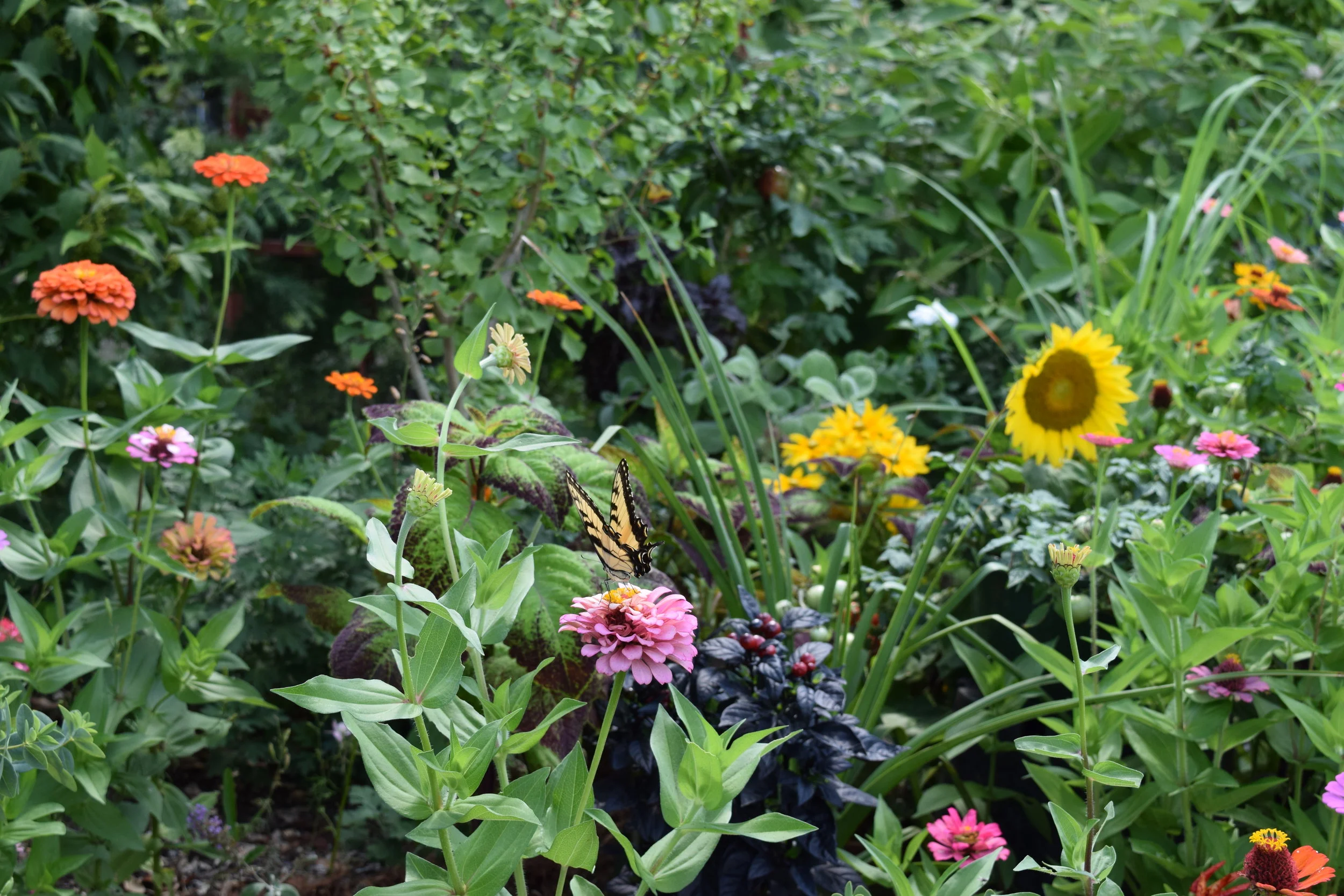 Great Gardens & Landscaping Symposium