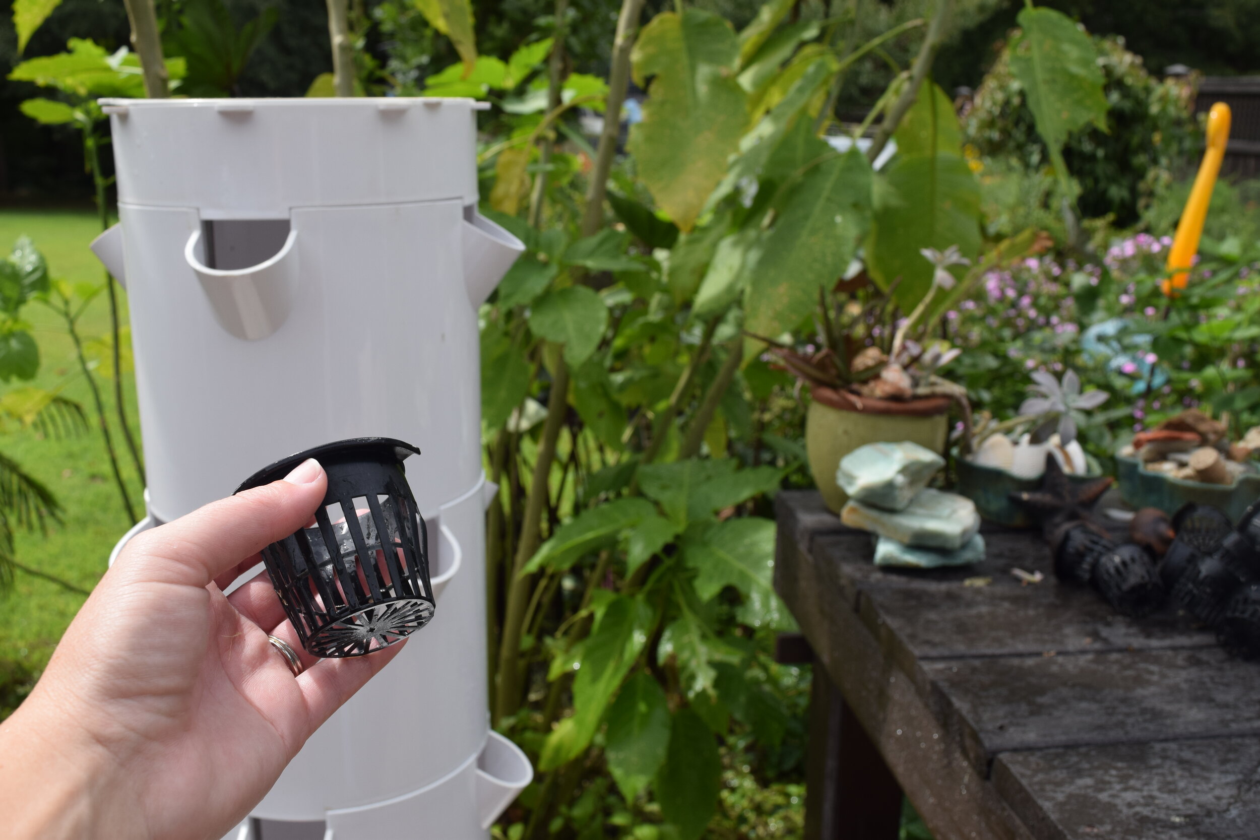 Tower garden cleaning (2).JPG