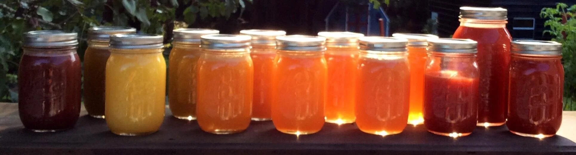 Easy Recipes for Preserving Summer  Tomato Harvests