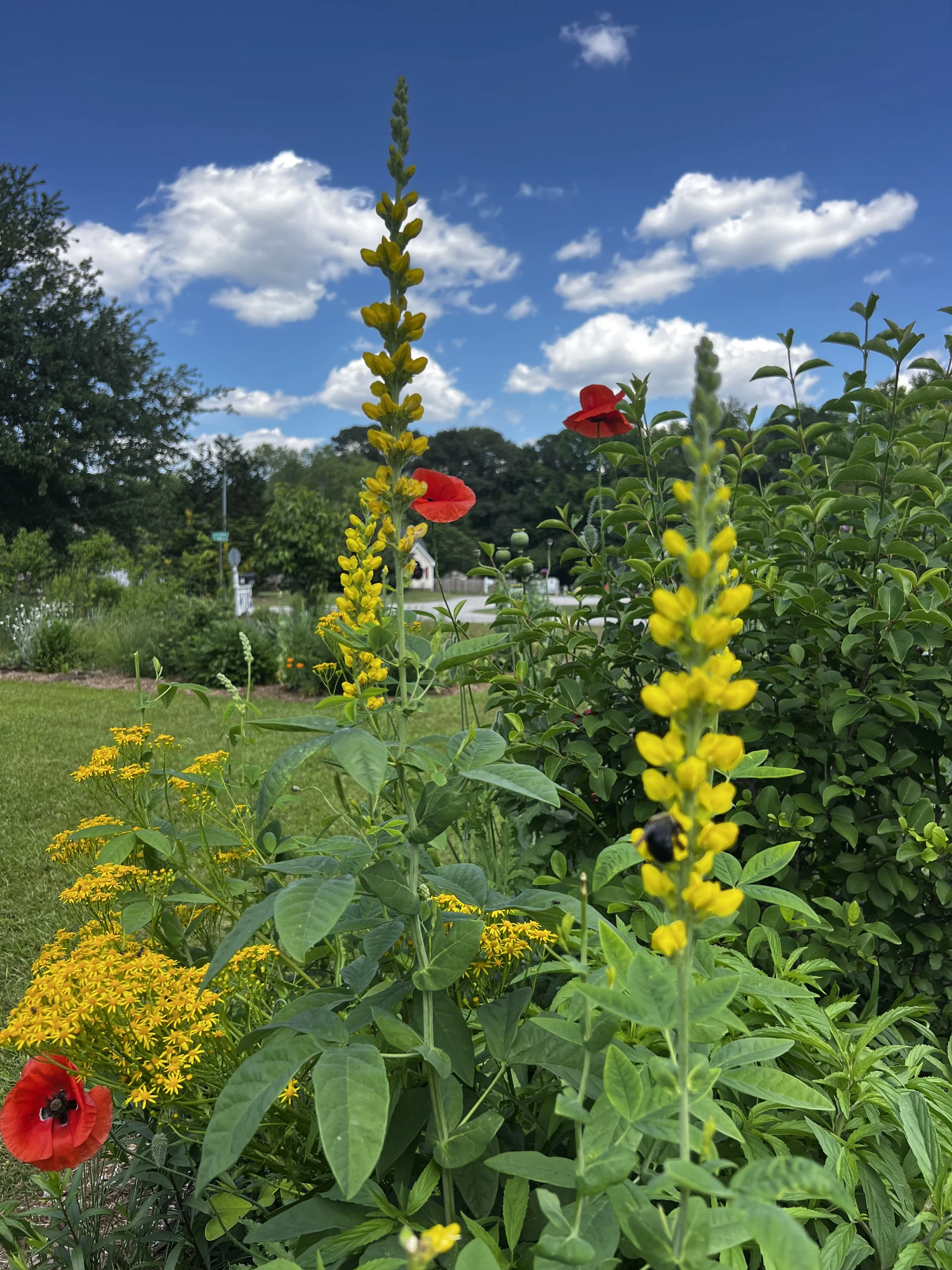 IMG_0404.jpeg
