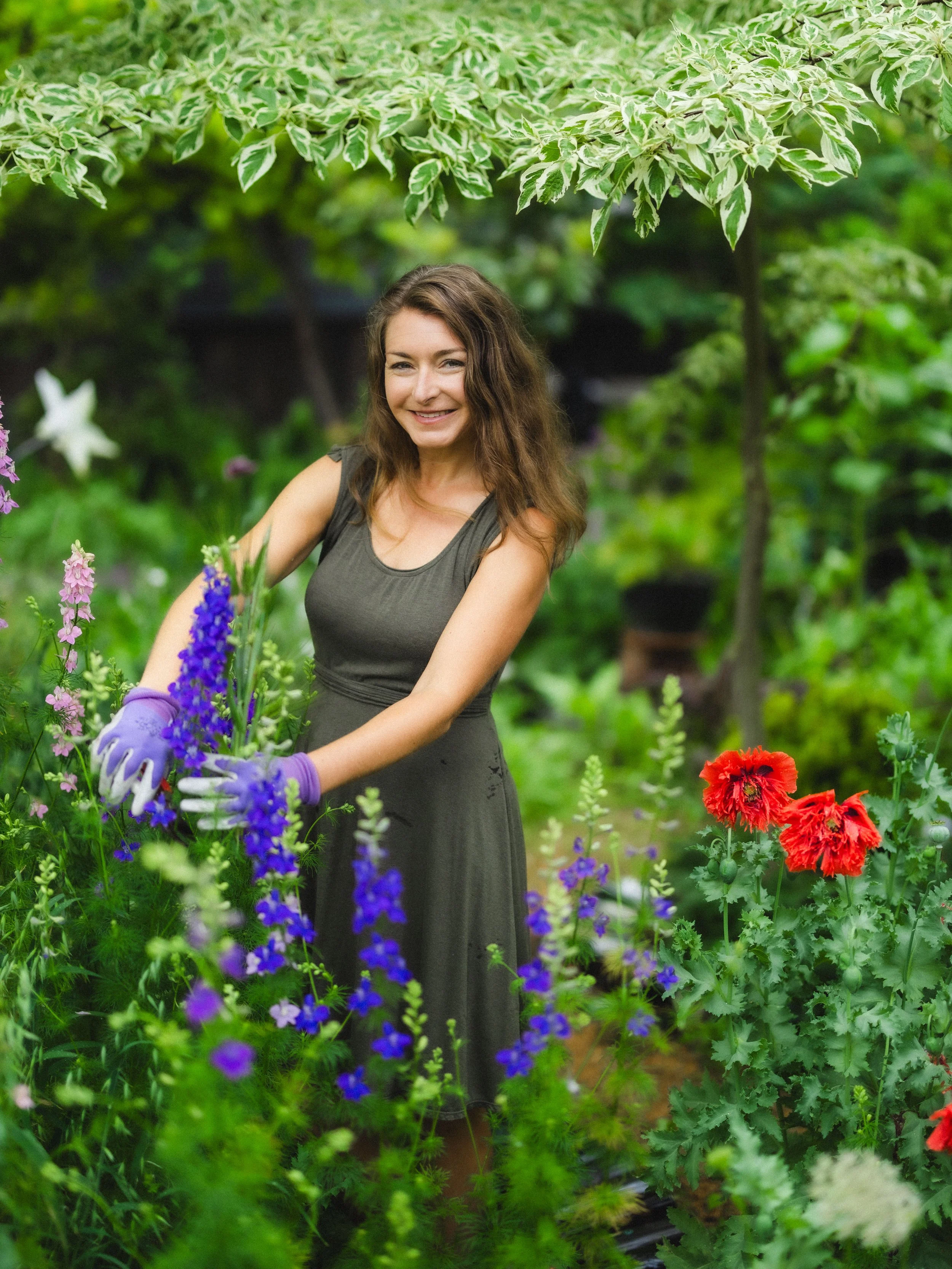 Seeds of Enchantment.jpg